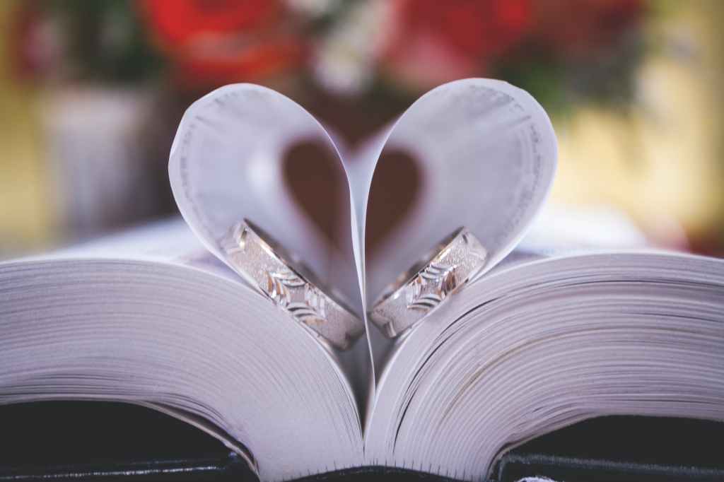 The Nook: Bookish Wedding&nbsp;Touches